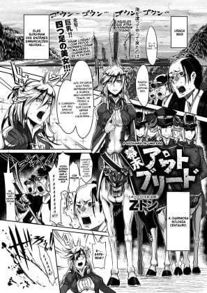 Bakumatsu Mother Breed capa
