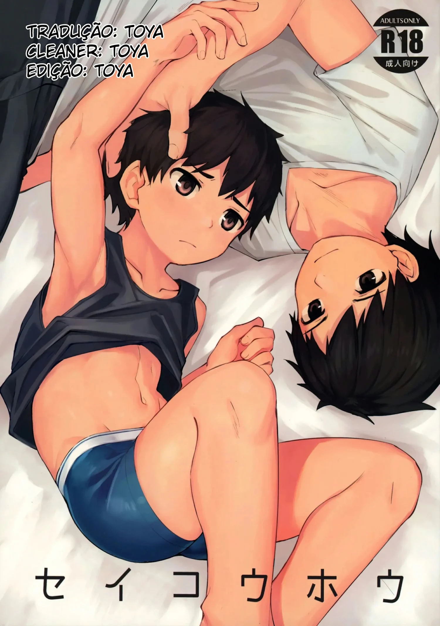 Seikouhou by Nayoshi