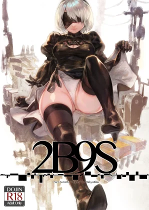 Mais informações sobre "2B9S"