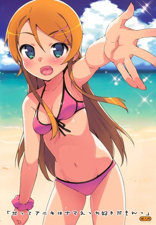 Mais informações sobre "Datte Aniki Wa Nama Ecchi Suki Damon"