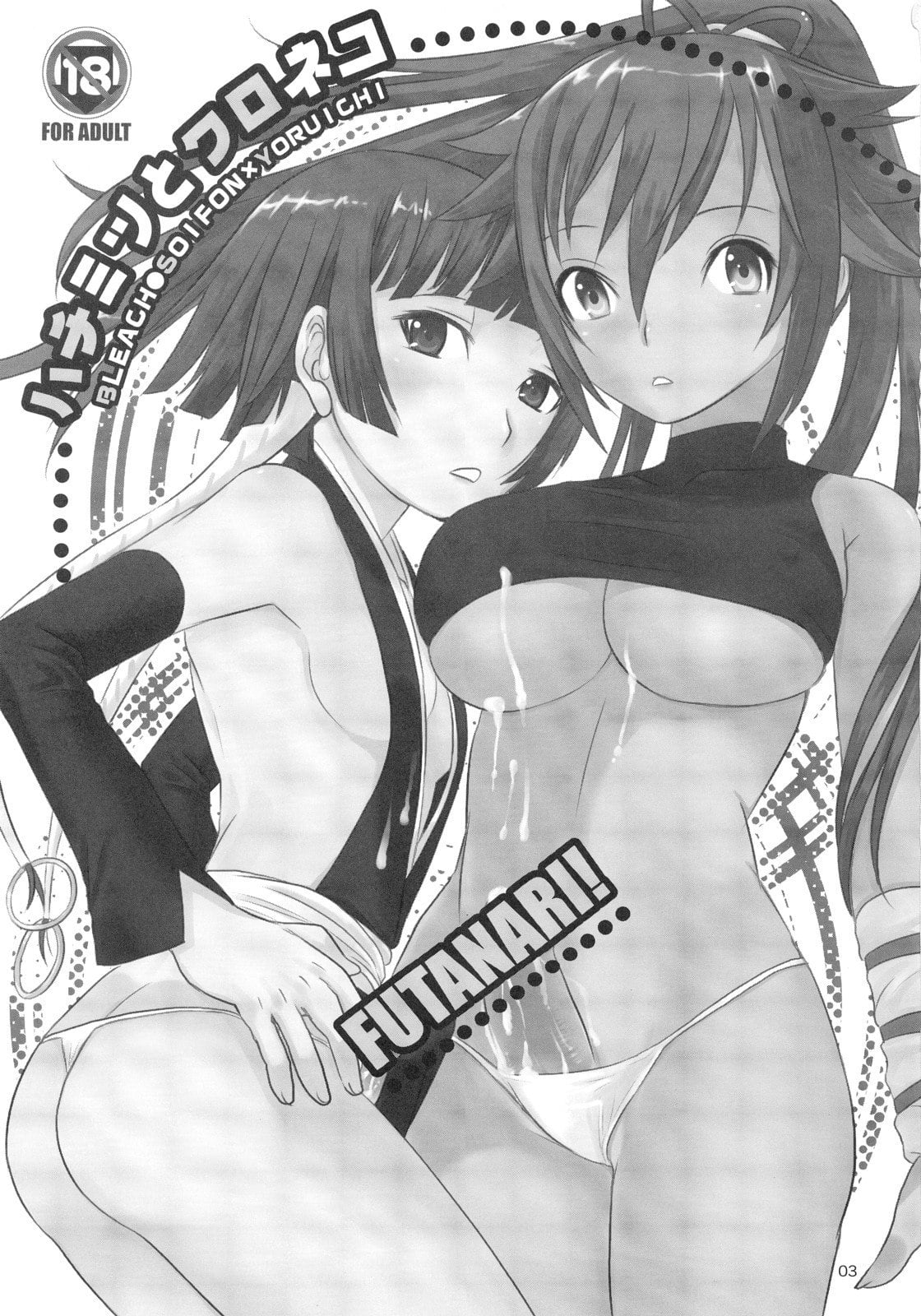 Hachimitsu to Kuroneko by Palco Nagashima