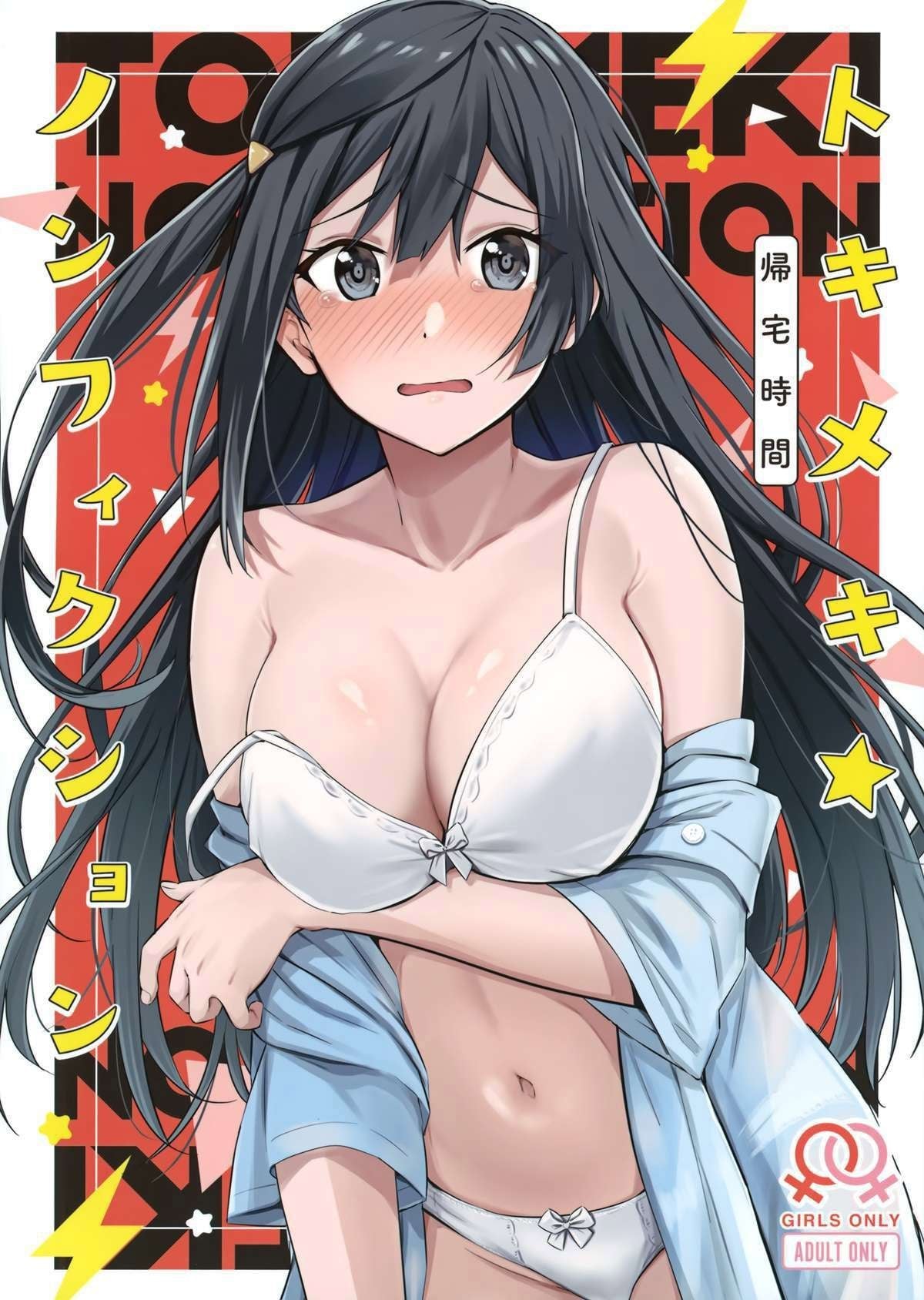 Mais informações sobre "Tokimeki Nonfiction"