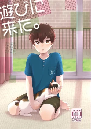 Mais informações sobre "Asobi ni Kita."