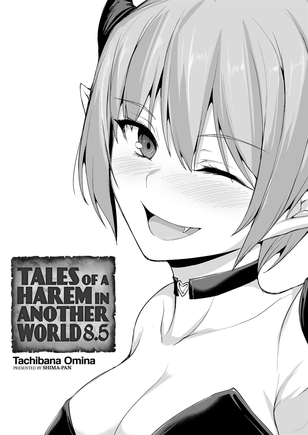 Isekai Harem Monogatari Soushuuhen 8 by Tachi... O...
