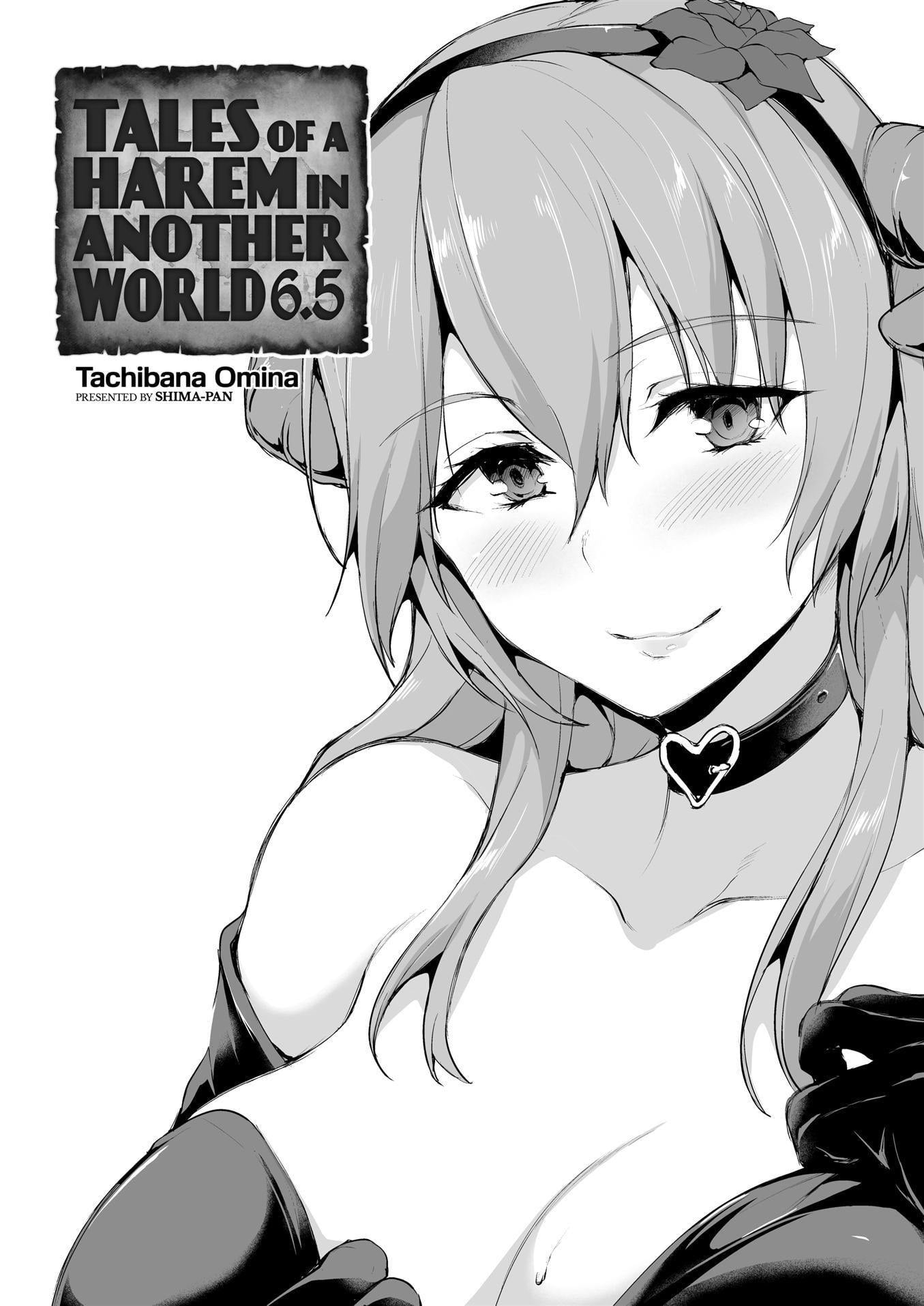Isekai Harem Monogatari Soushuuhen 6 by Tachi... O...